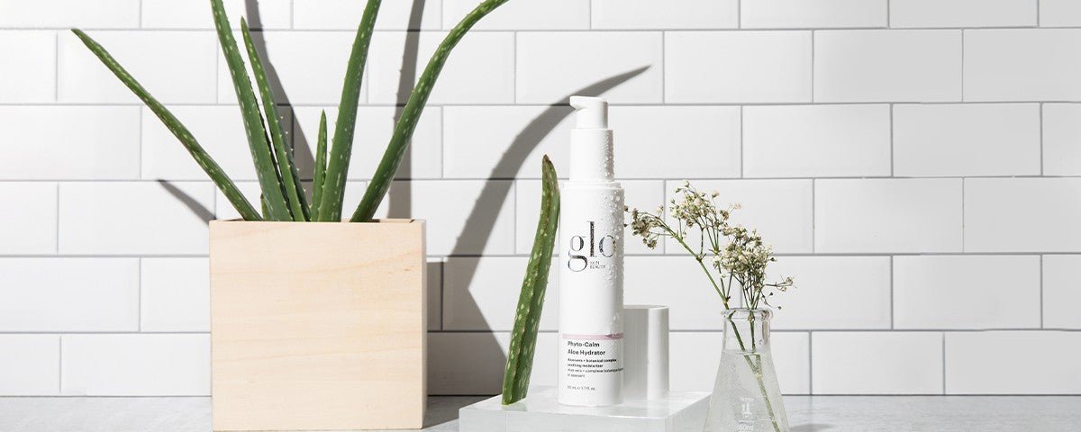 Aloe plant beside white glo bottle labeled 'Phyto-Calm Aloe Hydrator' and small vase of white flowers on a tiled counter.
